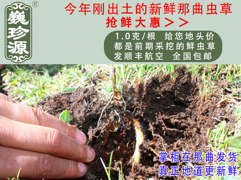 rxĲ^rxݣΡԴ1/rxĲ^ڳ^rx